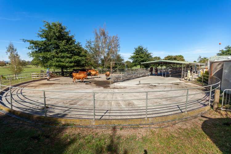 130 Chudleigh Road Waitoa_8