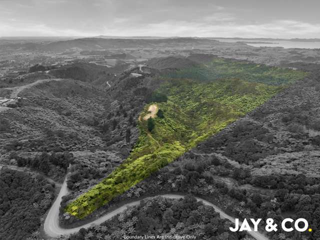 460 Otau Mountain Road Clevedon_3