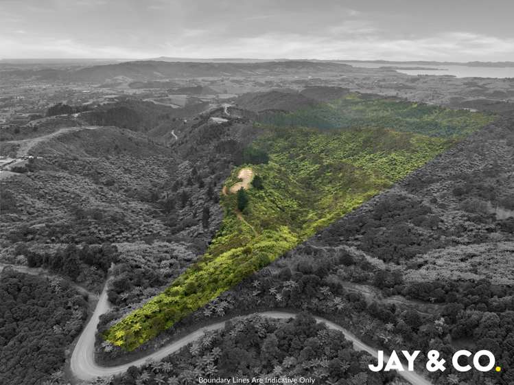 460 Otau Mountain Road_3