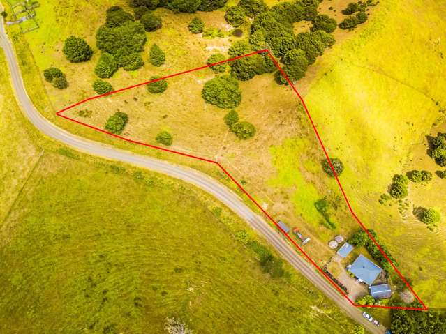 290 Shanks Road Helensville_3