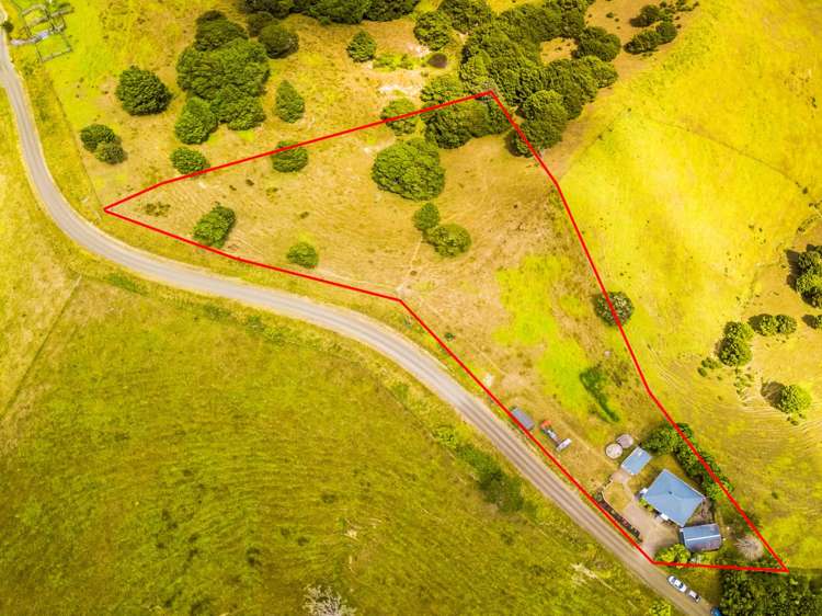 290 Shanks Road Helensville_3