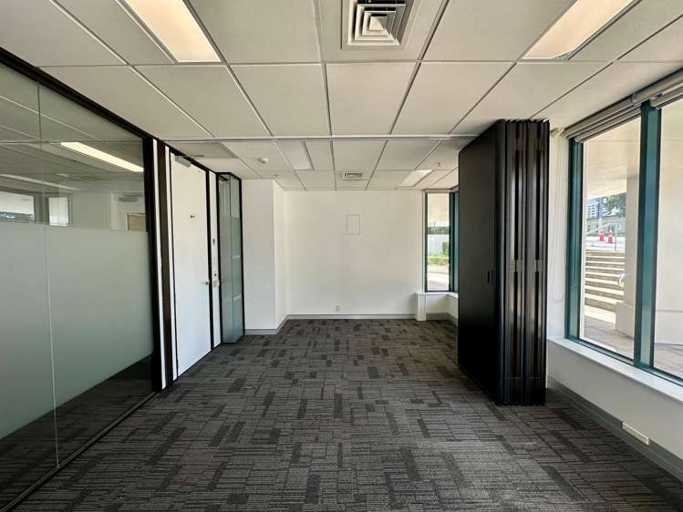 101 Carlton Gore Road Newmarket_5