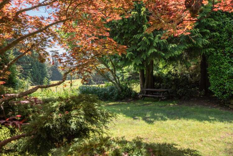 728 Whangamata Road Kinloch_30