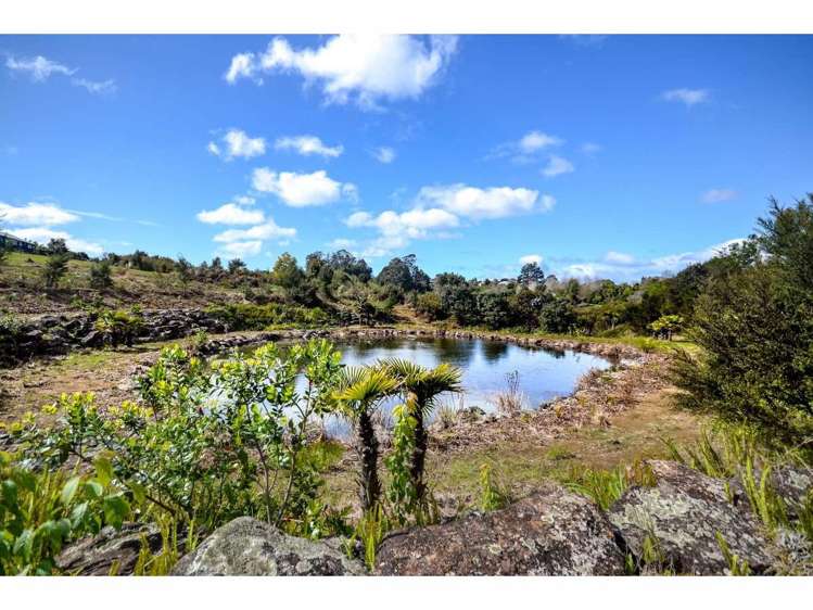 Lot 8/11 Lensvelt Lane Kerikeri_3