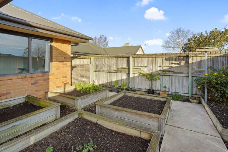 30 Coolspring Way Redwood_9