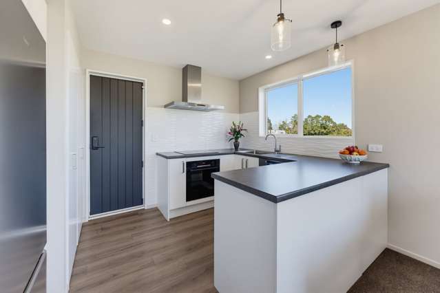 69 Oak Street Orari_4