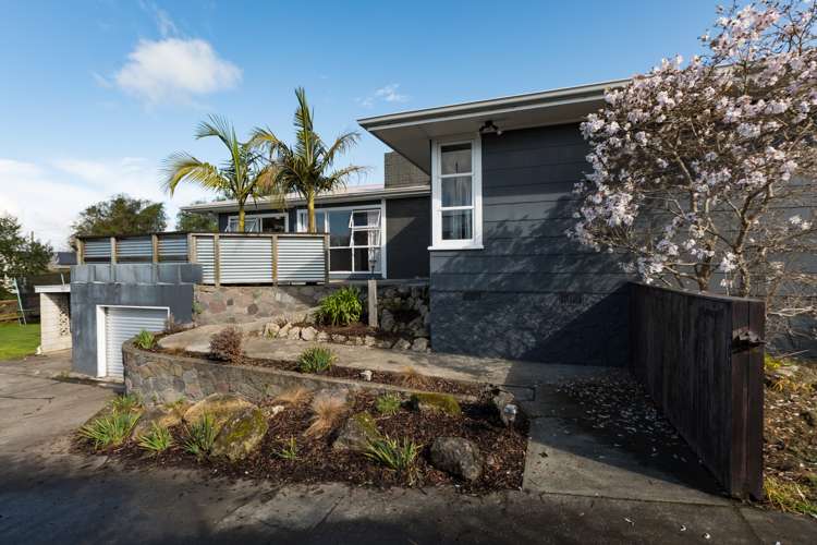 123 Porangahau Road Waipukurau and Surrounds_13