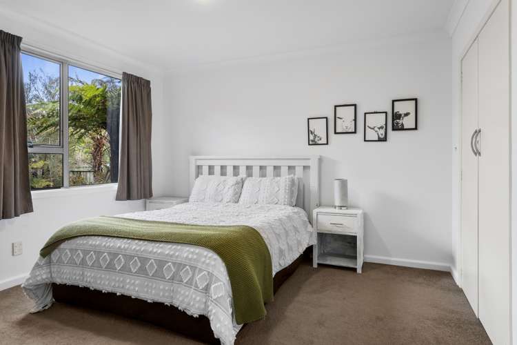 157 Carters Road Amberley_6