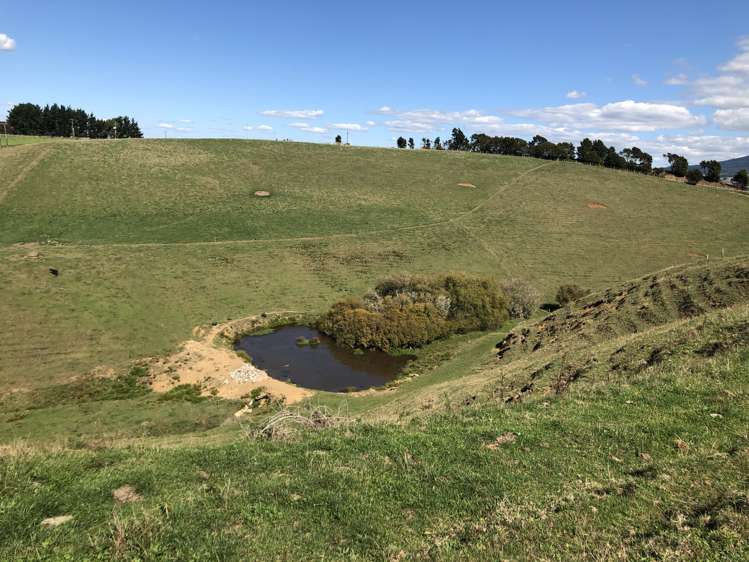 35 Grove Access Road Te Pahu_6