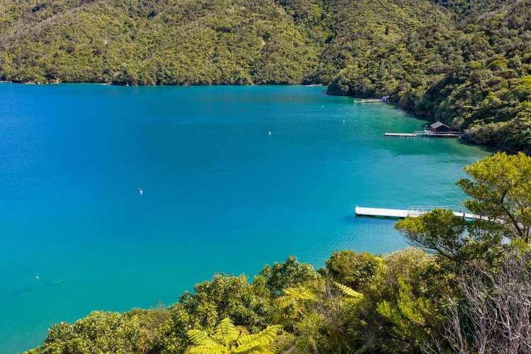 Lot 9 Blackwood Bay Queen Charlotte Sound_9