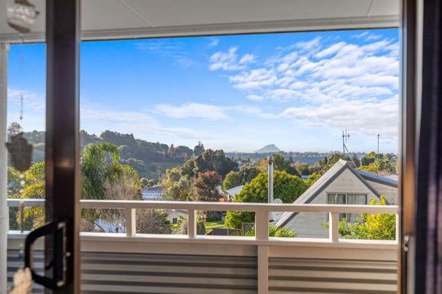 Mount View Charmer