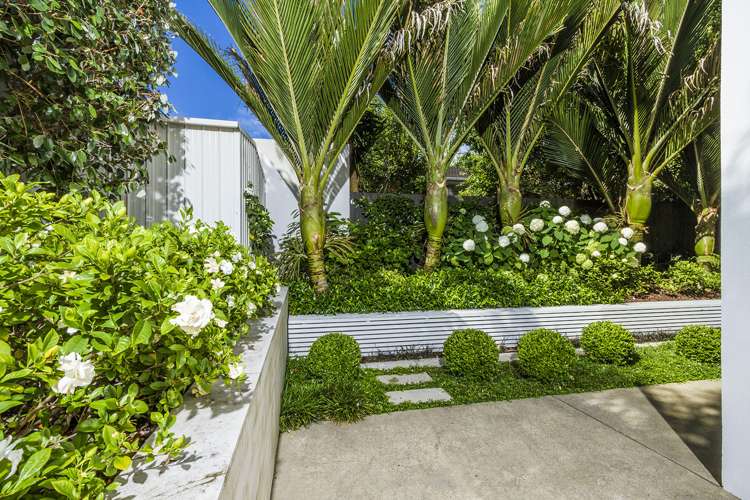 2a Clifton Road Hauraki_29