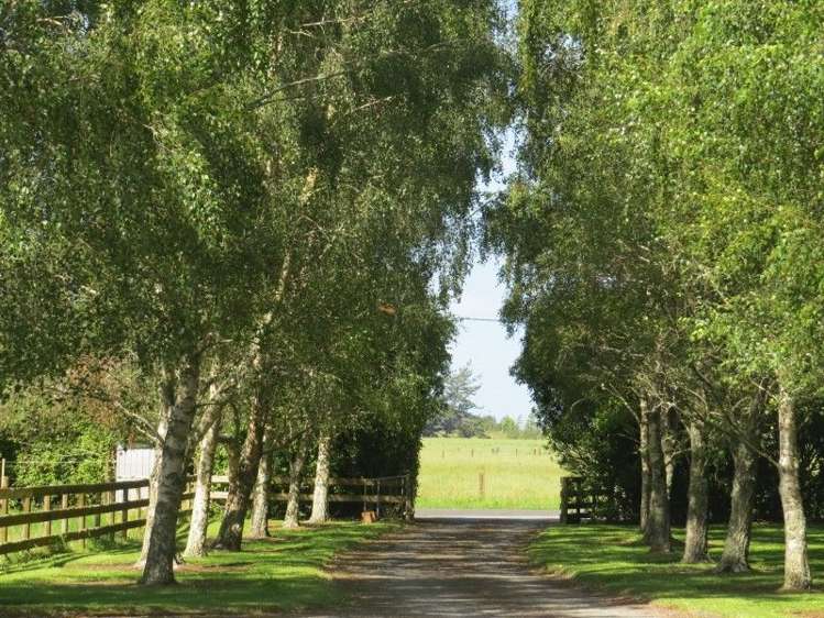 111 Tarr Road Ohaupo_19