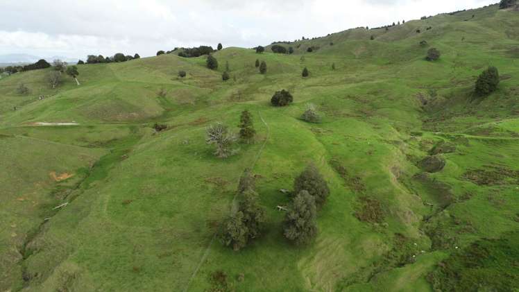 481 Moore Road Pipiwai_5