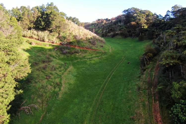 Maniatutu Road Pongakawa_25