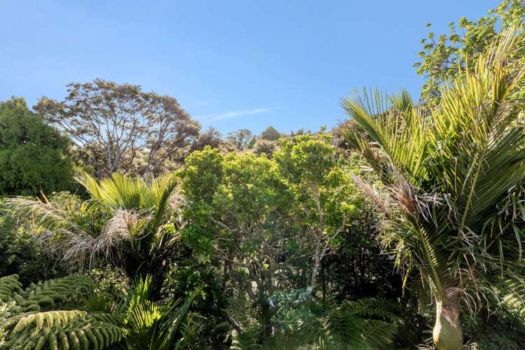 23 Punga Place Whitianga_30