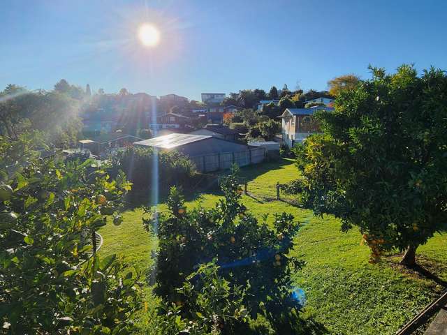 763 Fairview Road Te Awamutu_2