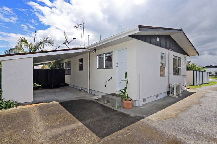 27 York Avenue Tamatea_13