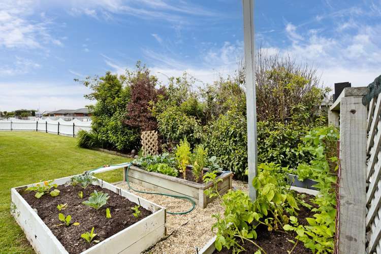 23 Lock Street Kingswell_26