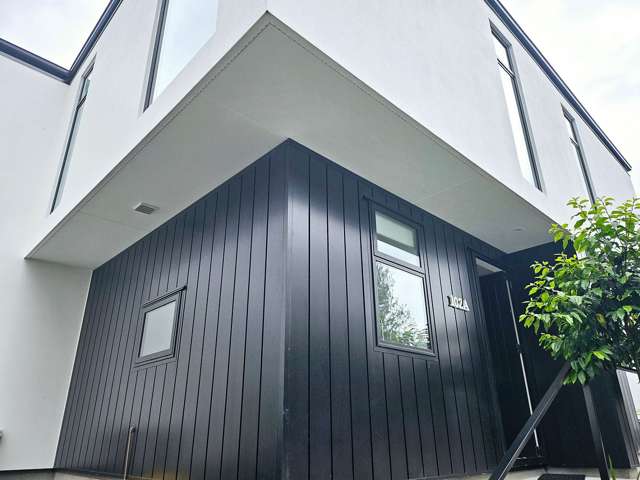 102A Rossall Street Merivale_1