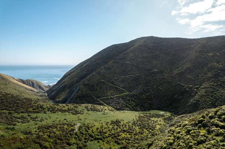 510 Southernthread Road Brooklyn_11