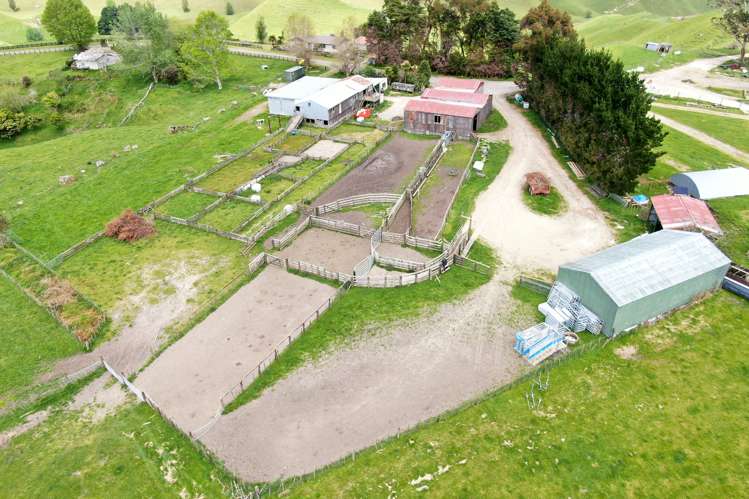 166 Airstrip Road Pikowai_1