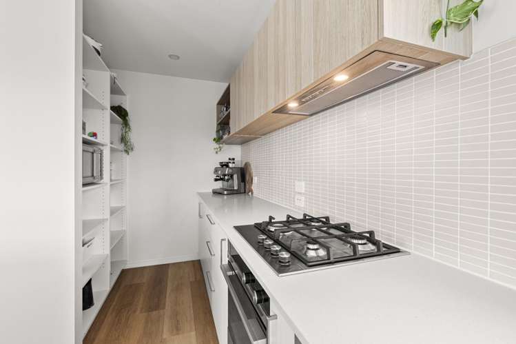 39 George Street Bulls_6