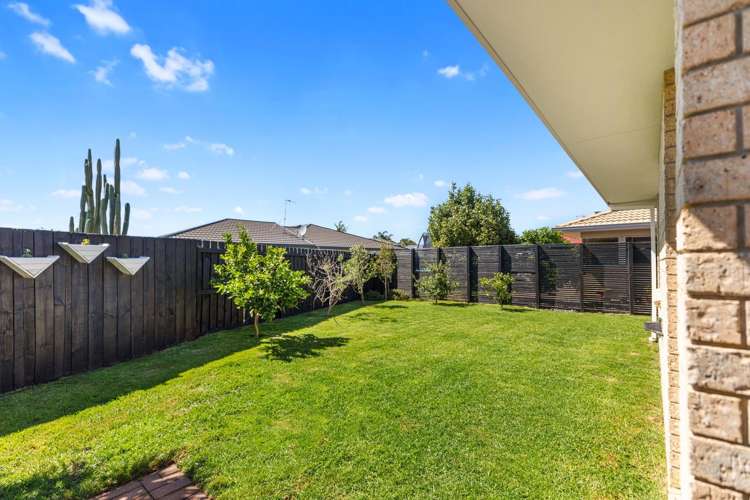59A Bayfair Drive Mount Maunganui_19