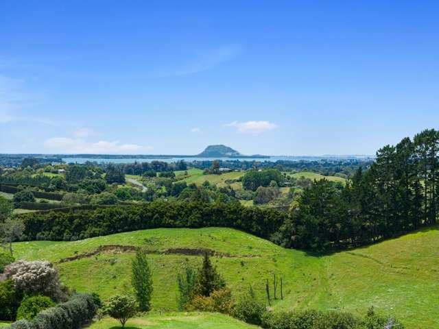 235 Waipapa Block Road Whakamarama_2