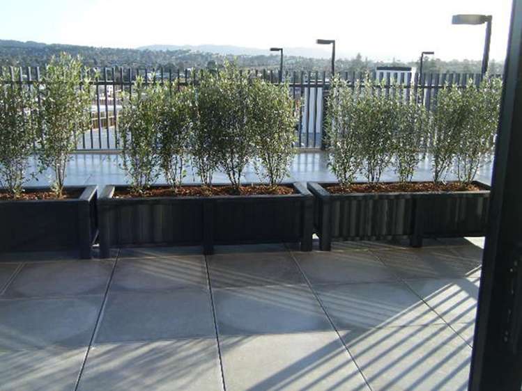 504/20 Mccrae Way New Lynn_7