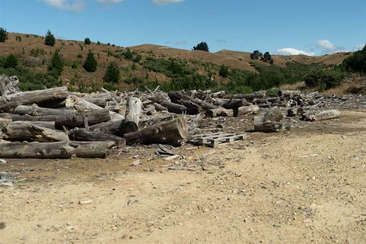 223 Rose Road Upper Moutere_12