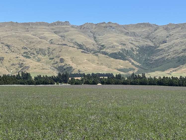 626 Gladbrook Road Middlemarch_25