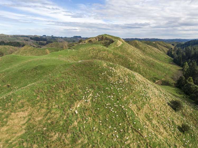 133 Mania Road Rangiwahia_6