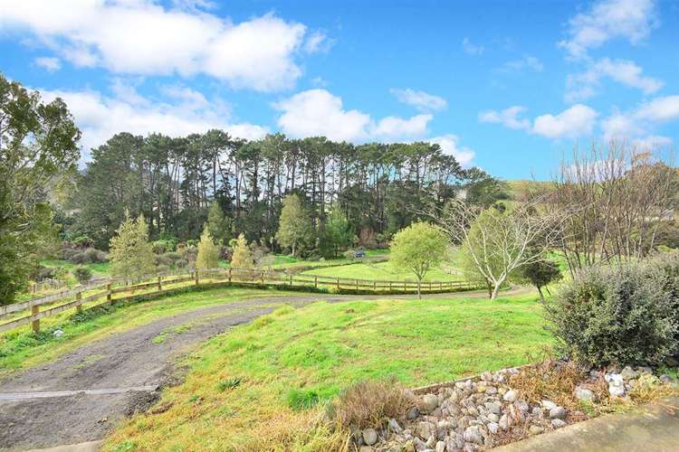 75a Mick Dillon Road Tahekeroa_16