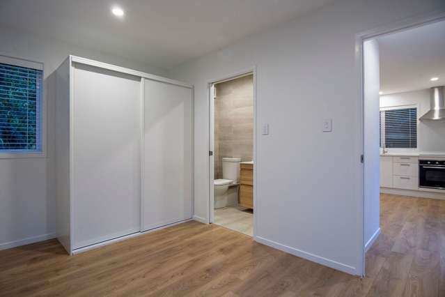 19 Commercial Road Grey Lynn_4