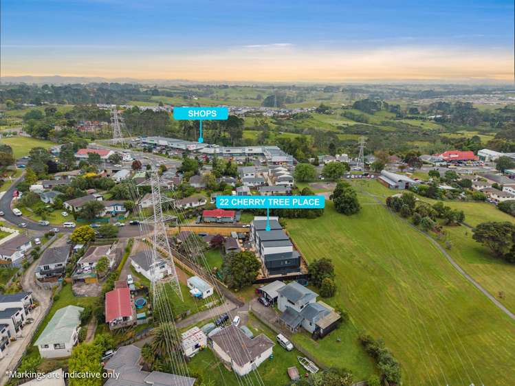 1/22 Cherry Tree Place Massey_6