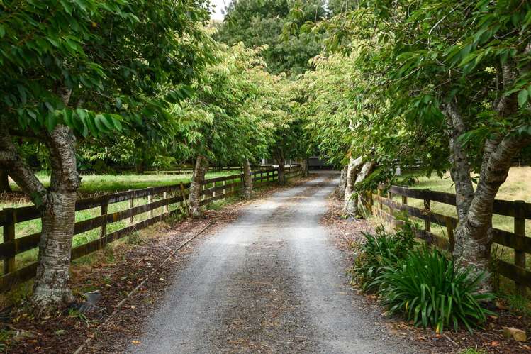 43 Scotsman Valley Road Tauwhare_37