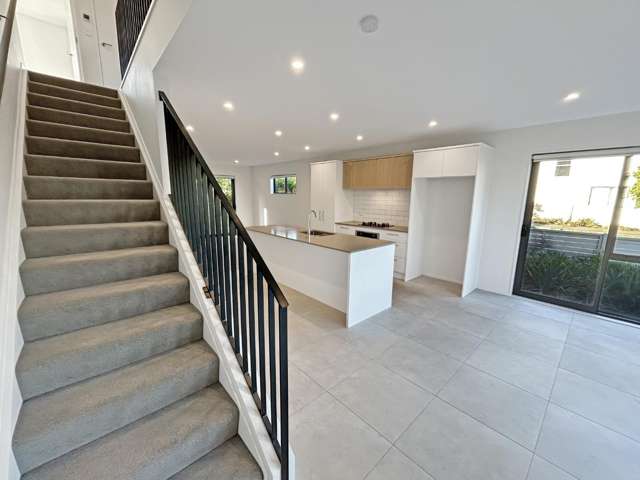 19 Whimbrel Road Flat Bush_3