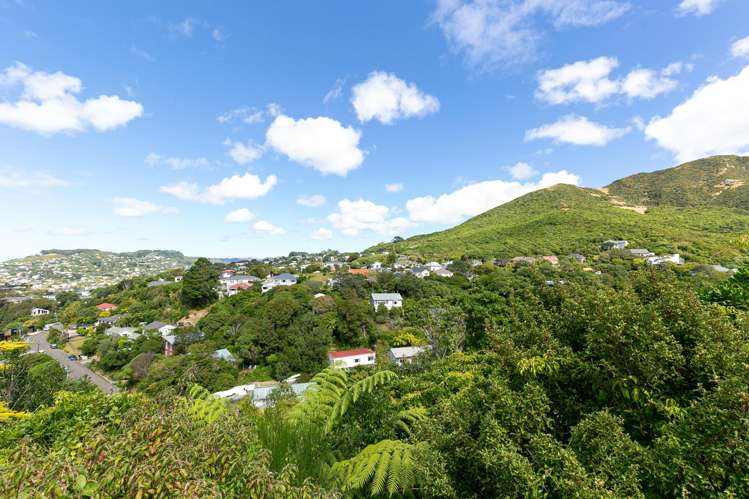 17b Govind Grove Ngaio_7