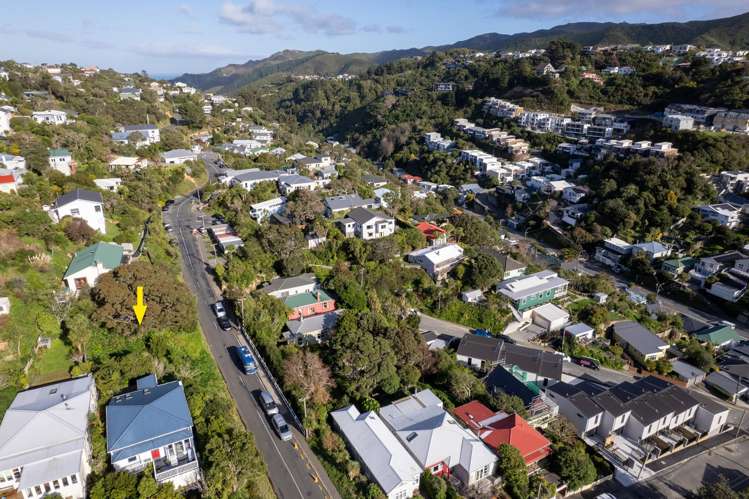 19 Mornington Road Brooklyn_10