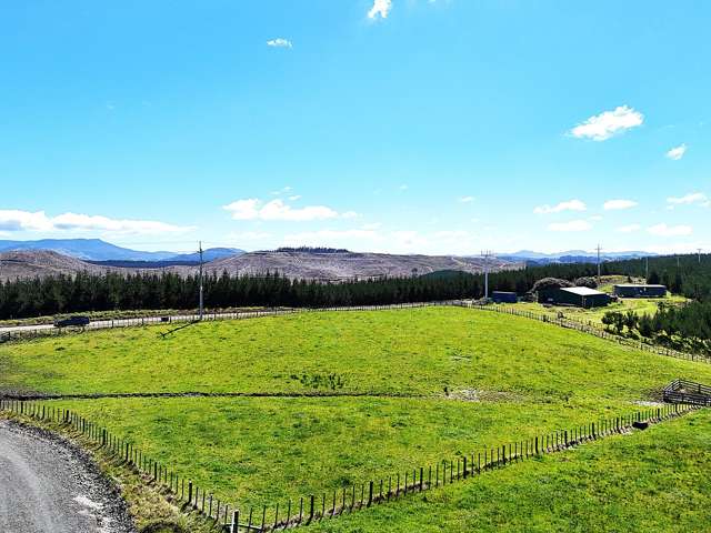 Lot 6 Babylon Coast Road Dargaville_3