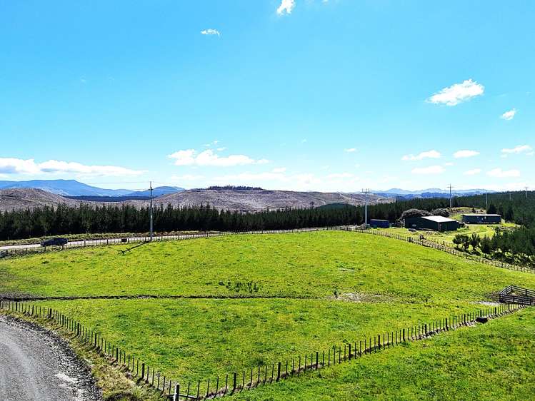 Lot 6 Babylon Coast Road_3
