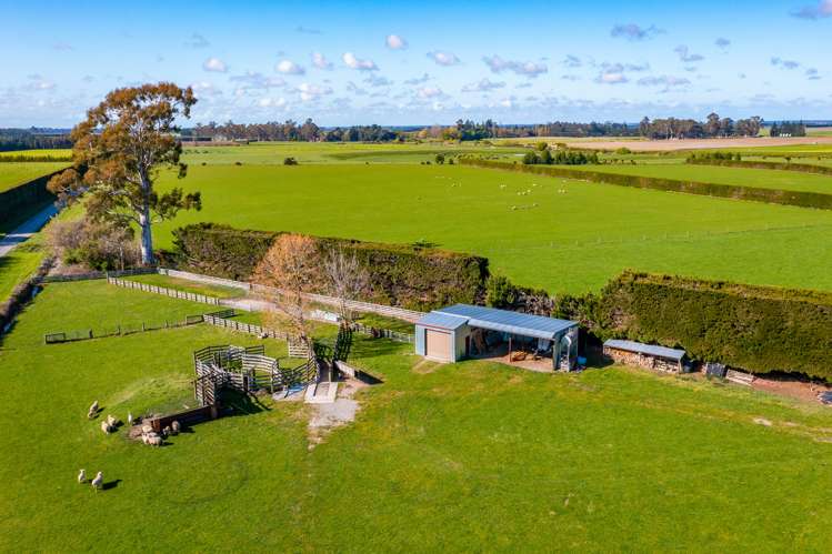 129 Hacketts Road Darfield_5