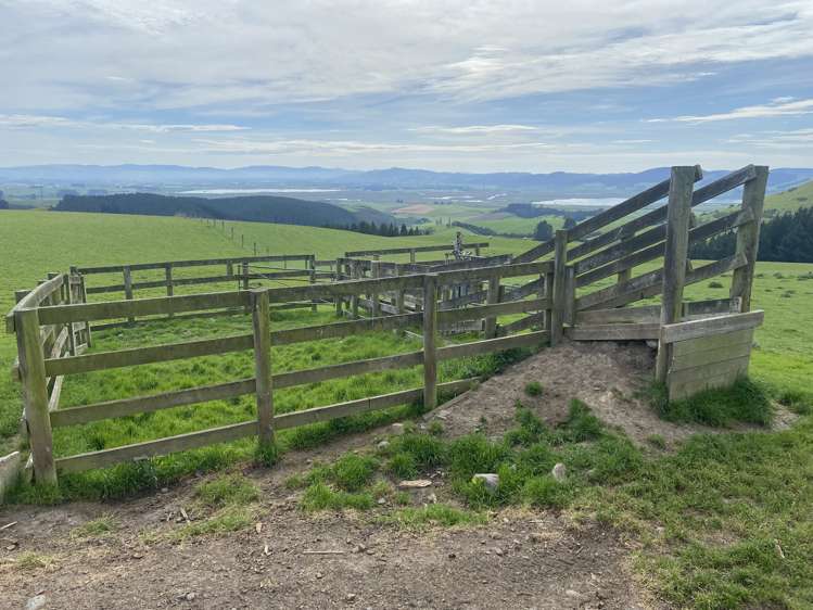 Waihola Hill Road Milton_17