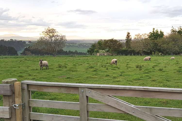 369 Gleniti Road Hadlow_20