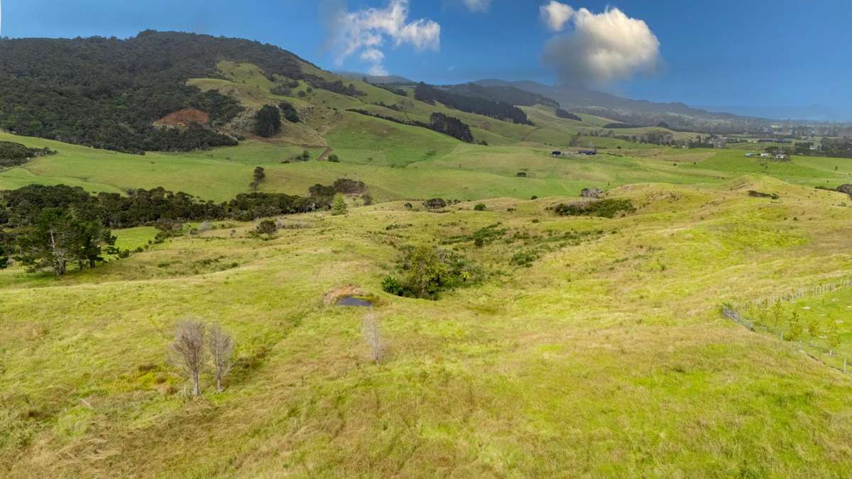 Lot 1 Okahu Road_1