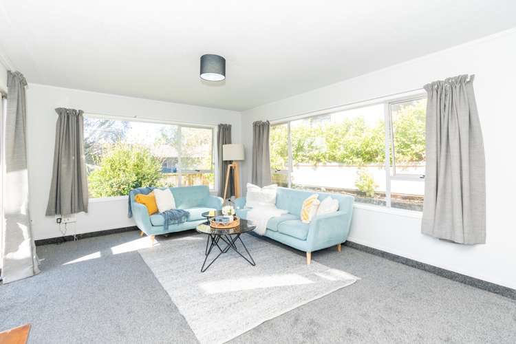 48b Cook Street Hamilton East_4