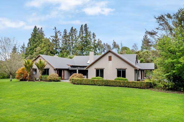 49 Rea Road Hauraki Surrounds_1