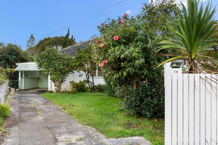 16 De Luen Street Point Chevalier_9
