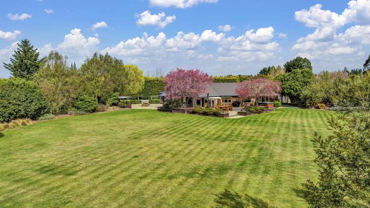 32 Peacock Place Swannanoa_29